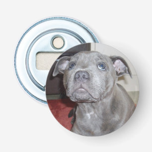 Décapsuleur Blue Staffy Puppy Love Eyes, Bottle Opener.