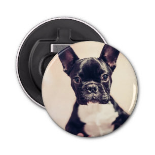 Décapsuleur Bouledogue français