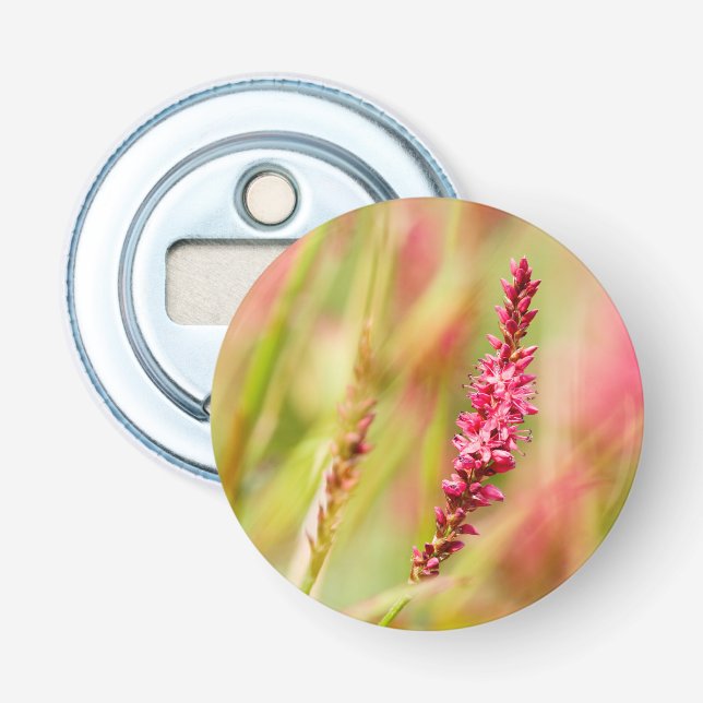 Décapsuleur buisson de couleur (Devant)