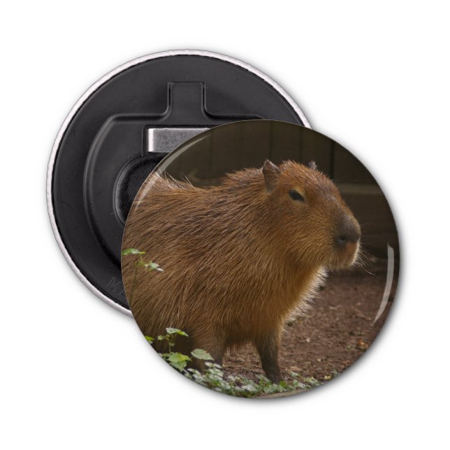 Décapsuleur Capybara (Devant)