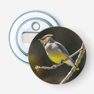 Décapsuleur Cèdre cire Songbird Photo originale Oiseau sauvage
