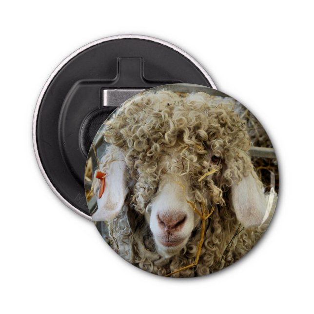 DÉCAPSULEUR CHÈQUE CUTE (Devant)