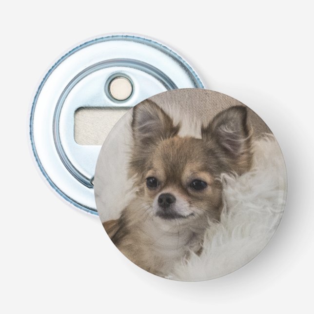 Décapsuleur Chihuahua gâté se relaxant (Devant)