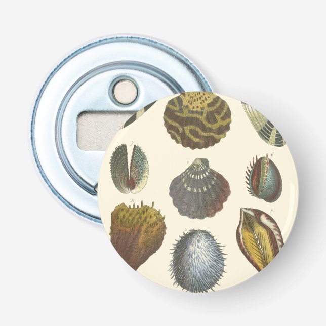 Décapsuleur Collection Conchology (Devant)