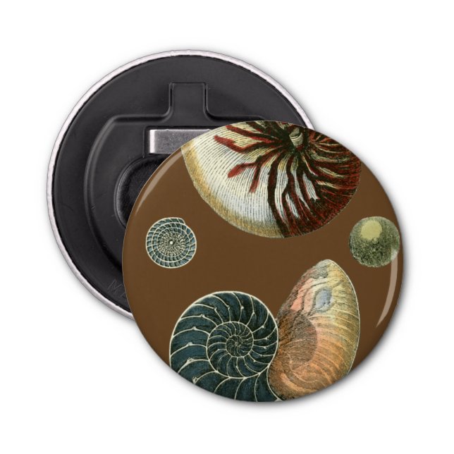 Décapsuleur Coque de cacao (Devant)