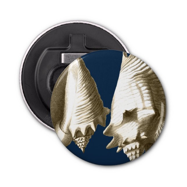 Décapsuleur Coquillages Sepia Conch (Devant)