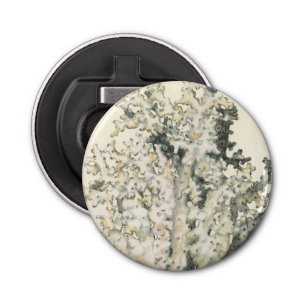 Décapsuleur Corail d'aquarelle antique