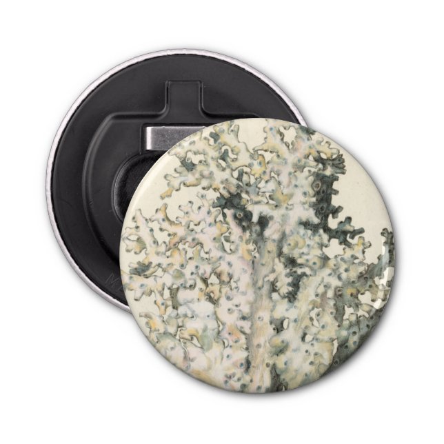 Décapsuleur Corail d'aquarelle antique (Devant)