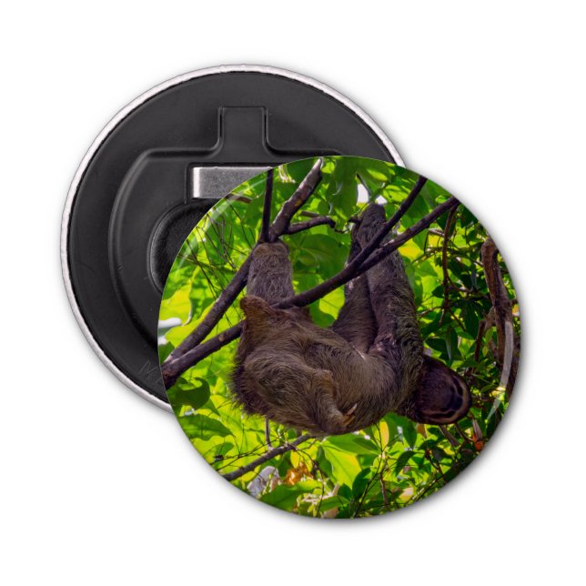 Décapsuleur Costa Rica - Happy Lazy Sloth, Antonio Manuel NP (Devant)