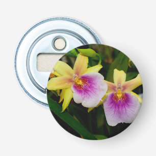 Décapsuleur Coucher de soleil de Miltonia