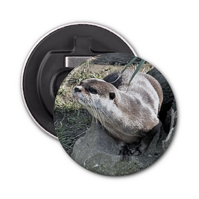 DÉCAPSULEUR COUPER OTTER (Devant)