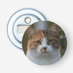 Décapsuleur Créez Votre Propre Photo de Chat Personnalisée