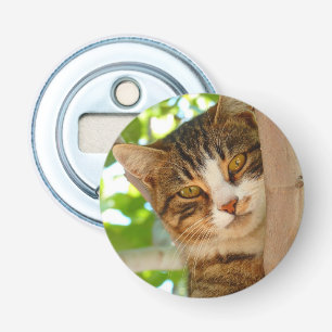 Décapsuleur Cute Escalade de chat un arbre