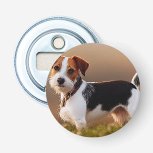 Décapsuleur Cute Jack Russel Terrier Chien Photo