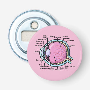 Décapsuleur Diagramme de l'œil