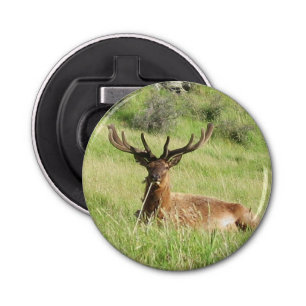 Décapsuleur Étiquettes de la Nouvelle-Zélande