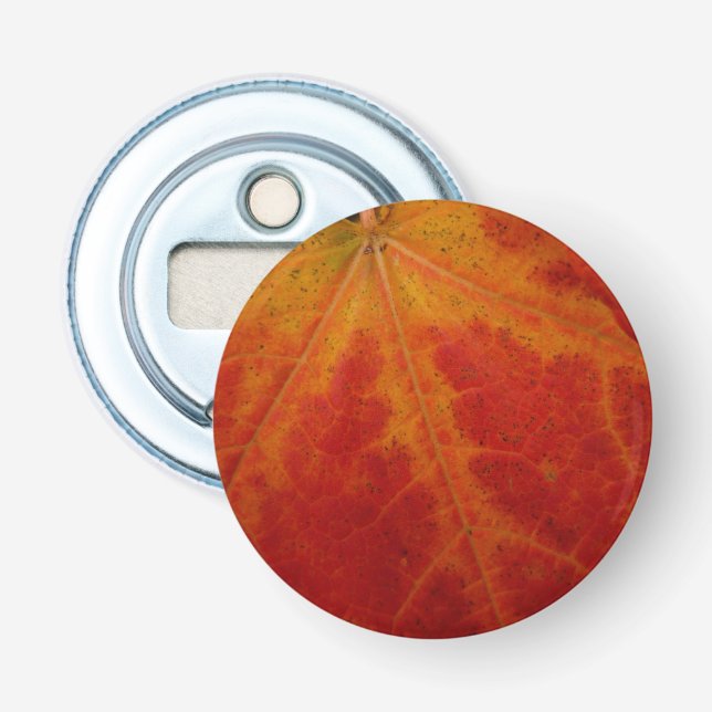 Décapsuleur Feuille de Érable Rouge Photographie de Nature Abs (Devant)