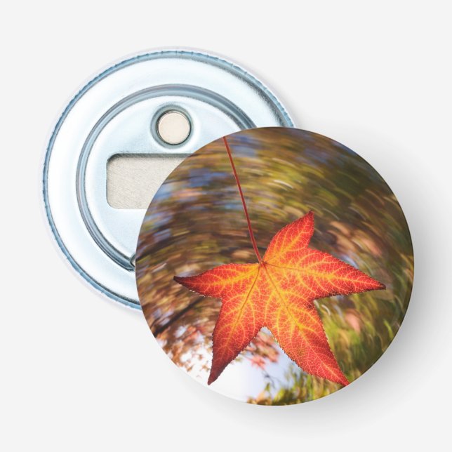 Décapsuleur Feuille tombante d'un arbre en automne (Devant)