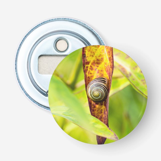 Décapsuleur fixation calme (Devant)