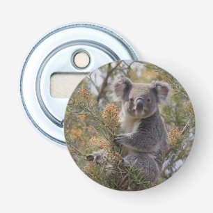 Décapsuleur Grevillea Koala Bear,