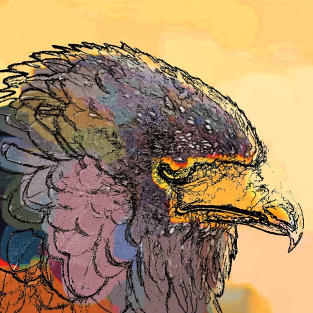 DÉCAPSULEUR HAWK (A vibrant art design of a Harris Hawk bird of prey.)