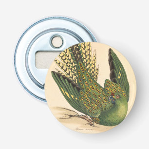 Décapsuleur James Sowerby Parrot terrestre, Psittacus terrestr
