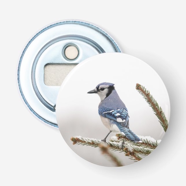 Décapsuleur Jay bleu en hiver (Devant)
