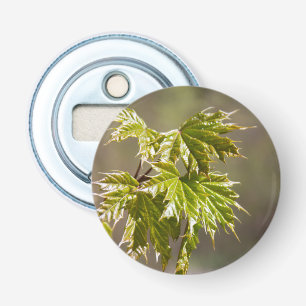 Décapsuleur Jolie branche d'érable verte avec de petites feuil