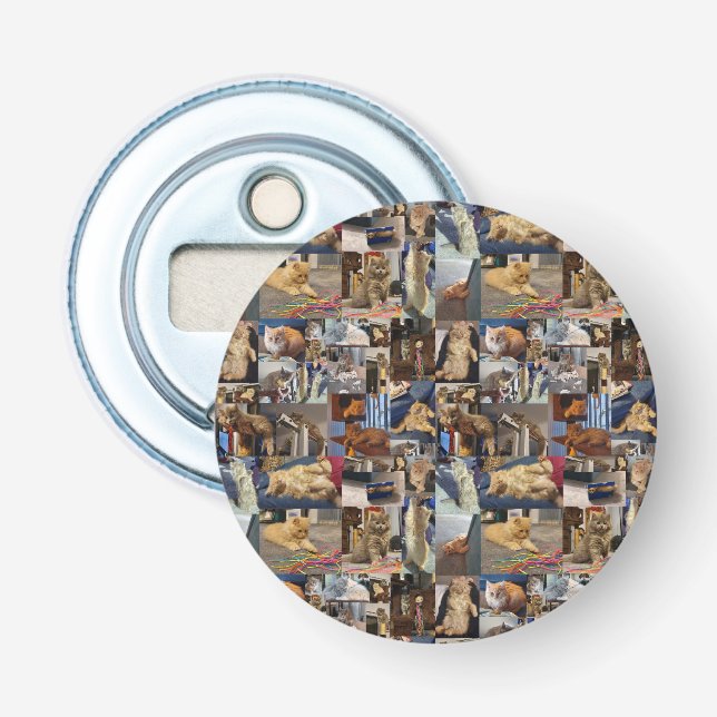 Décapsuleur Kitten Photo Collage, Bottle Opener (Devant)