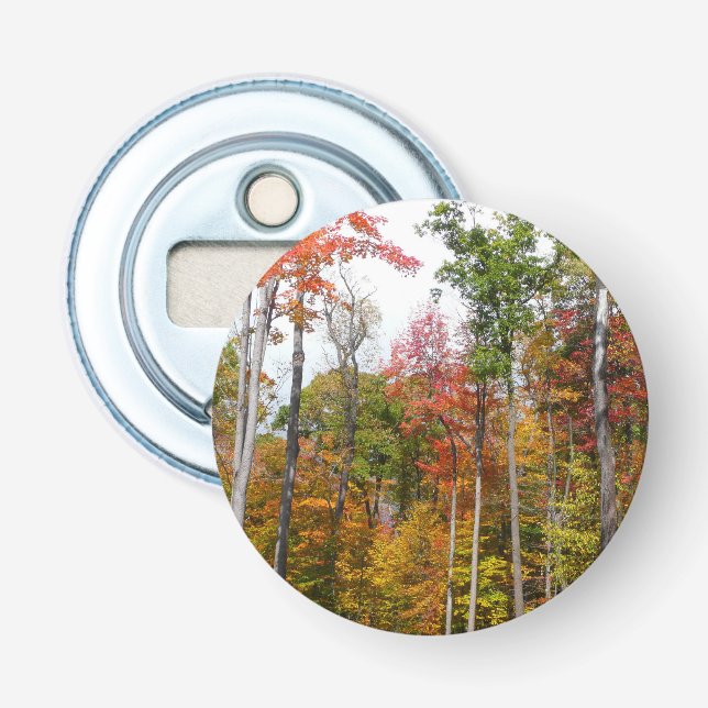Décapsuleur L'automne dans la forêt Photographie d'automne col (Devant)