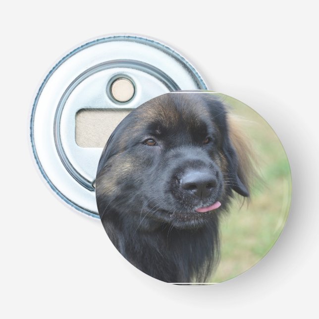 Décapsuleur Leonberger adorable (Devant)