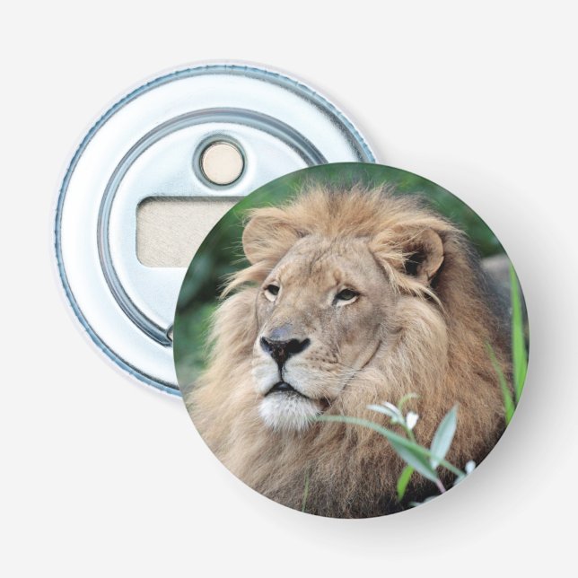 Décapsuleur Lion 021 (Devant)
