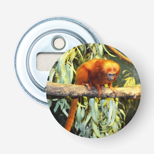 Décapsuleur Lion d'or Tamarin observant, ouverture de bouteill (Devant)