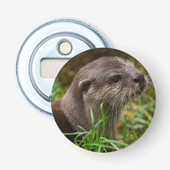 Décapsuleur Loutre éclaboussée (Devant)