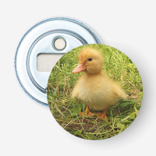 Décapsuleur oiseau, canard, caneton, jaune, nature, mignon, bé