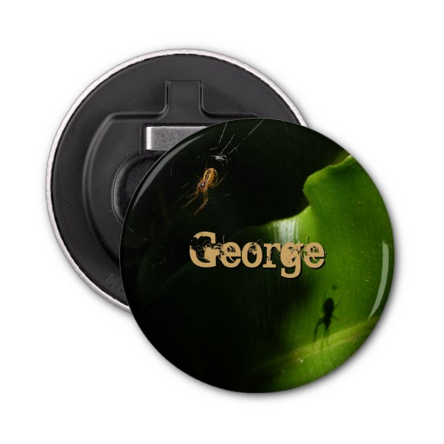 Décapsuleur Ouvreur de bouteille minuscule d'araignée (Devant)