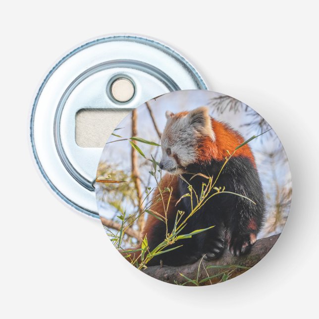 Décapsuleur Panda rouge (Devant)