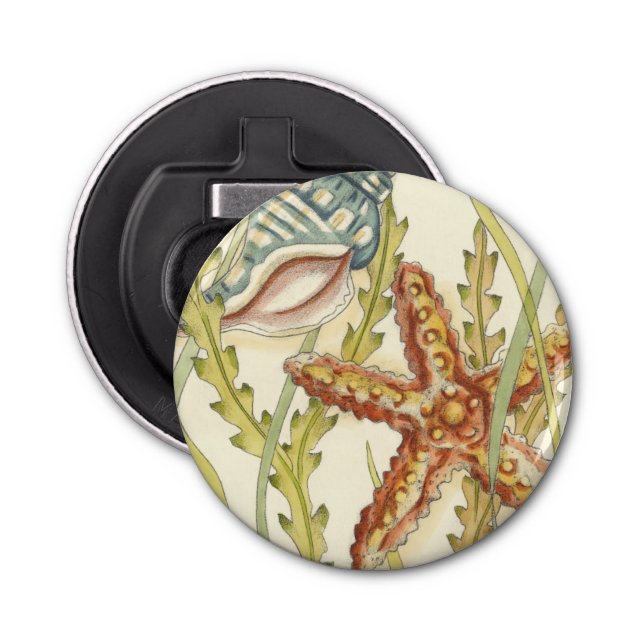 Décapsuleur Partie Shell multicolore (Devant)