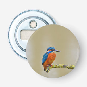 Décapsuleur Perching Kingfisher