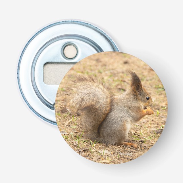 Décapsuleur Photo d'un écureuil mignon mangeant une noix (Devant)