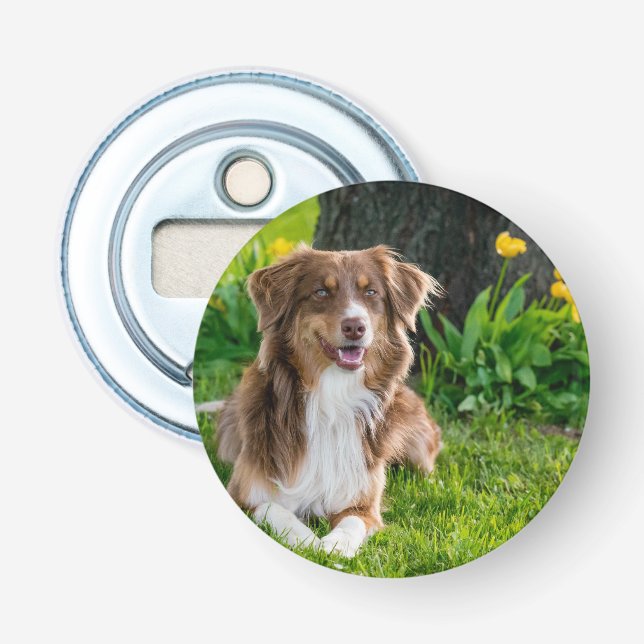 Décapsuleur Photo personnalisée pour animaux (Devant)
