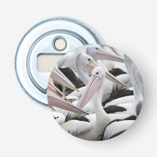 Décapsuleur Pod de pélicans