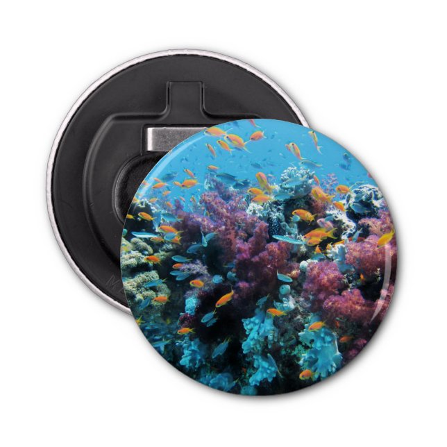 Décapsuleur Poisson orange tropical et corail rose (Devant)