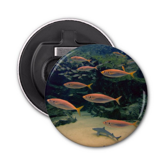 Décapsuleur Poisson rose (Devant)