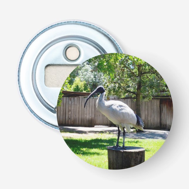 Décapsuleur Poulet À Bin (ibis) Sur Une Pompe D'Arbre, (Devant)