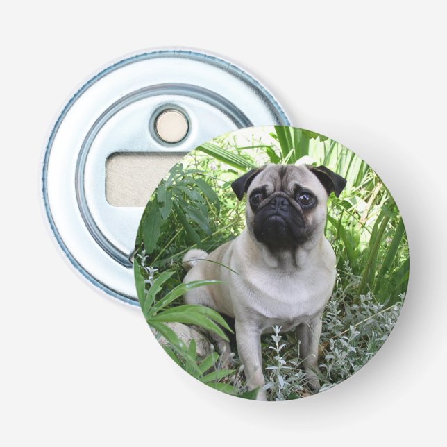 Décapsuleur pug assis (Devant)