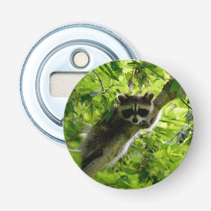 Décapsuleur Raton laveur dans un arbre vert Raton laveur gris