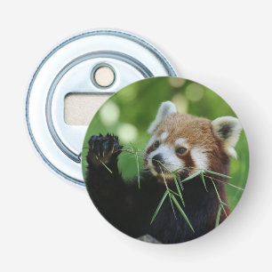 Décapsuleur RedPanda 002