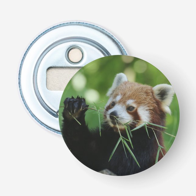 Décapsuleur RedPanda 002 (Devant)