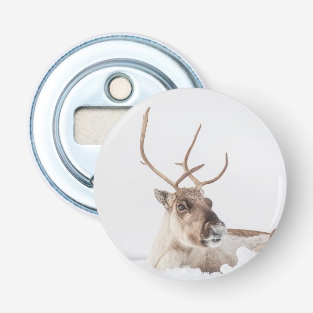 Décapsuleur Reindeer Nature Photo Souvenir (Devant)
